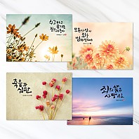 엽서형전도지-서울교회